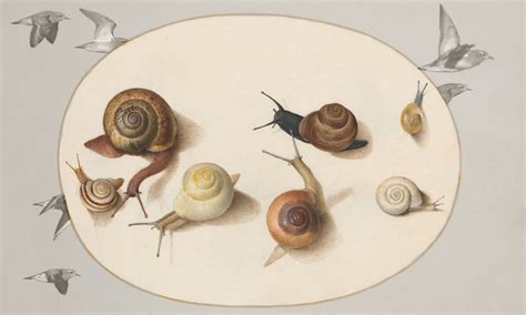 “The Snail” – An Exquisite Study of Time and Transformation!